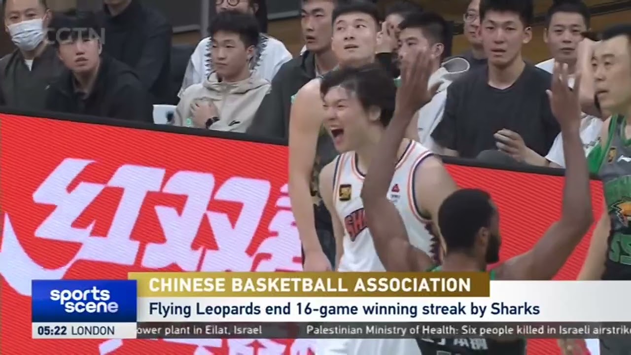 自己的领域